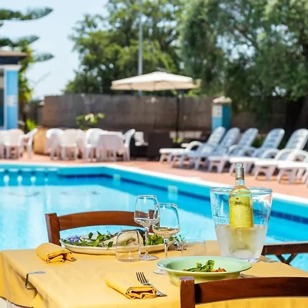 L'ulivo غيراسول