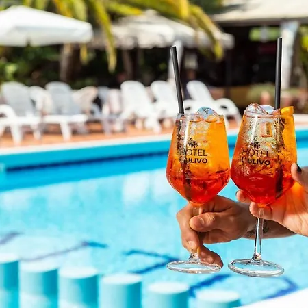 L'ulivo غيراسول