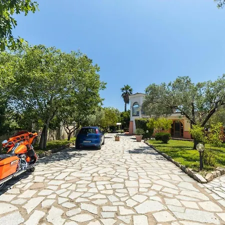 L'ulivo غيراسول