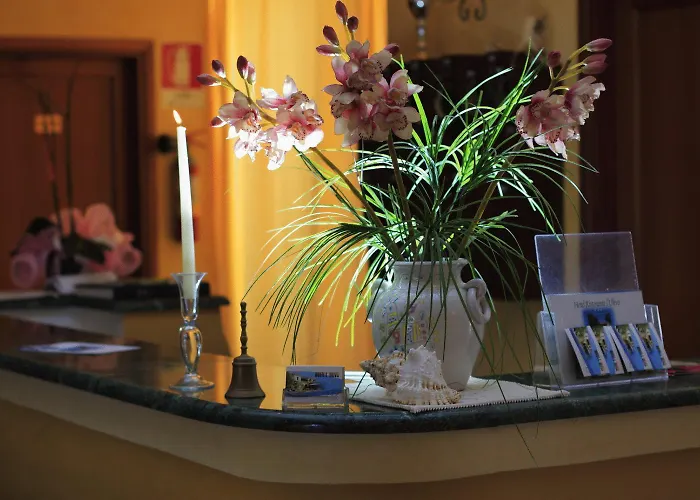 L'ulivo 基拉索勒