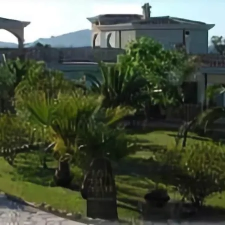 L'ulivo Girasole