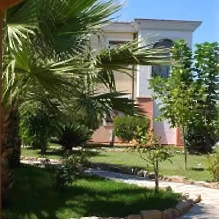 L'ulivo Girasole