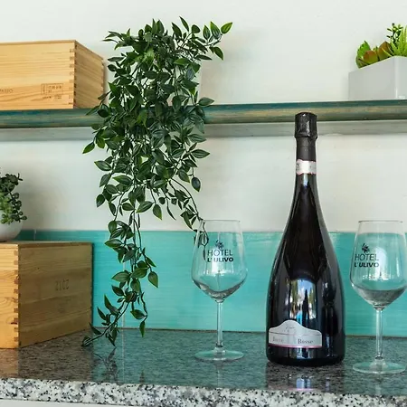 Hotel L'ulivo Girasole