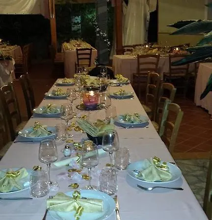 L'ulivo