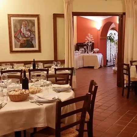 L'ulivo Girasole