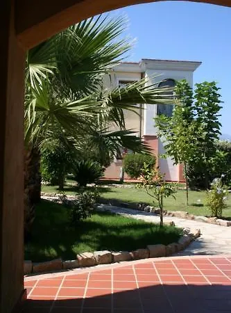 L'ulivo