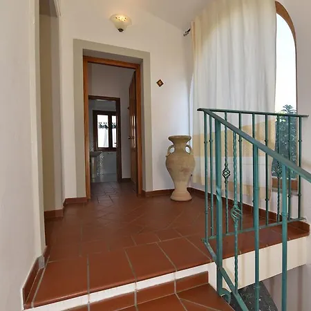 L'ulivo 3*