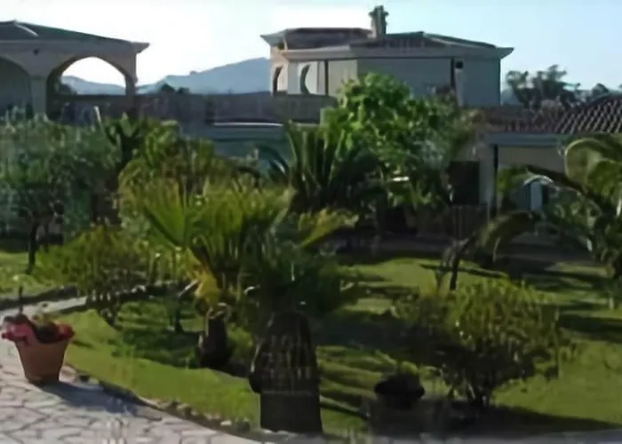 L'ulivo ジラソーレ